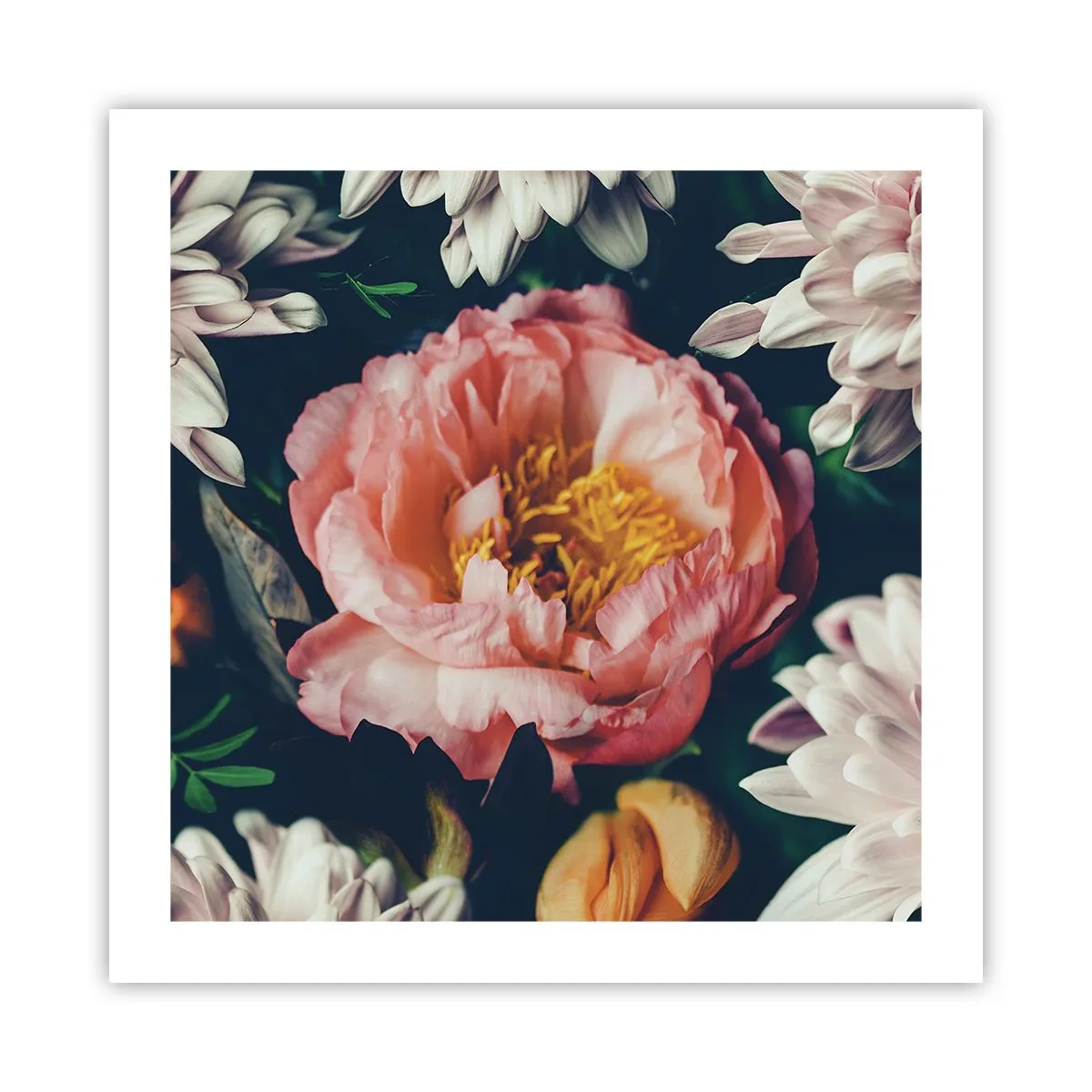 Poszter - Barokk pompával - 50x50 cm