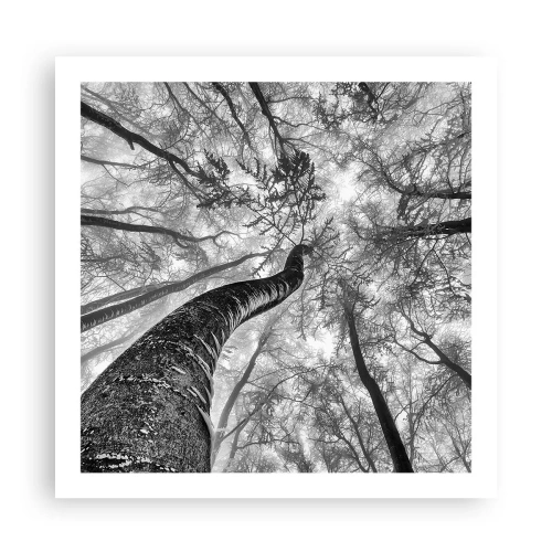 Poszter - Verseny a fény felé - 60x60 cm