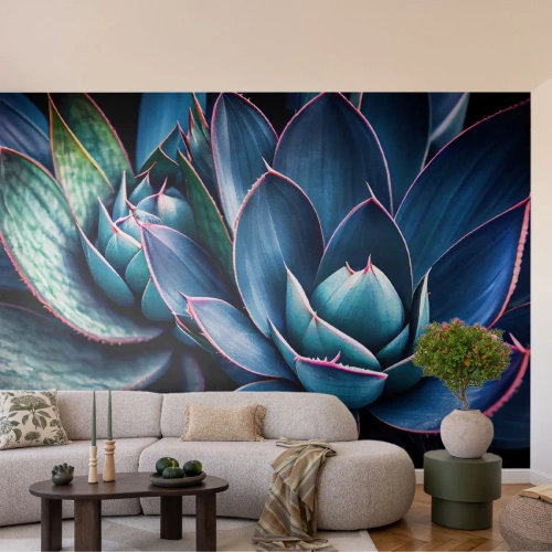 Fotótapéta Premium Sand - Életerő - Virágok, Növénytan, Pozsgás növények - 100x70 cm