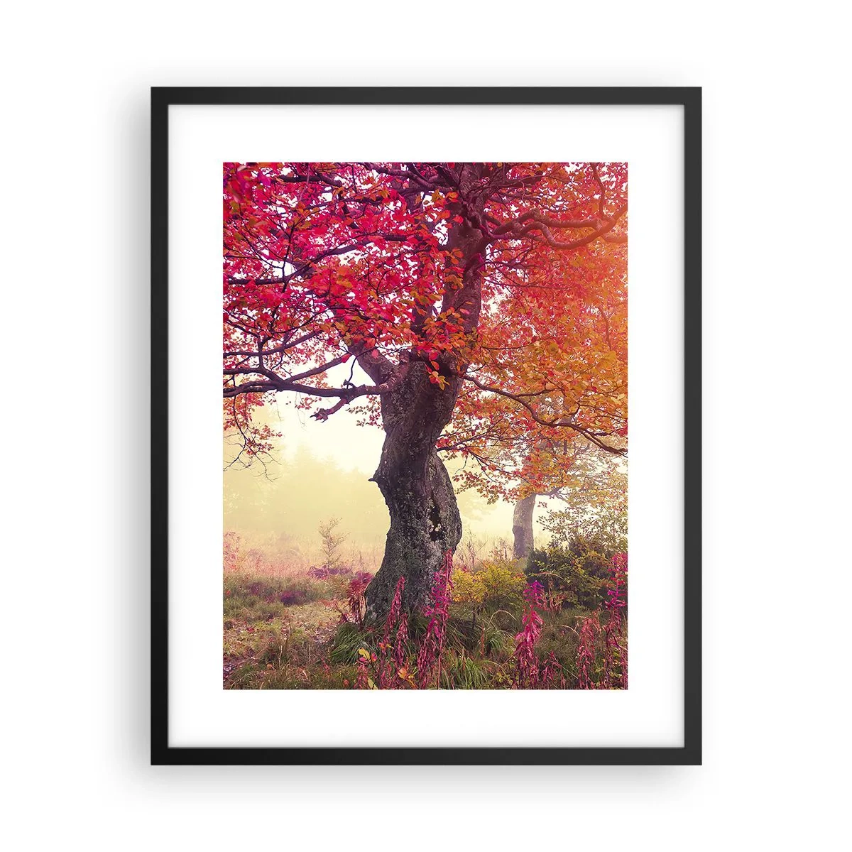 Poszter fehér keretben - Virágzás őrülete - 40x50 cm