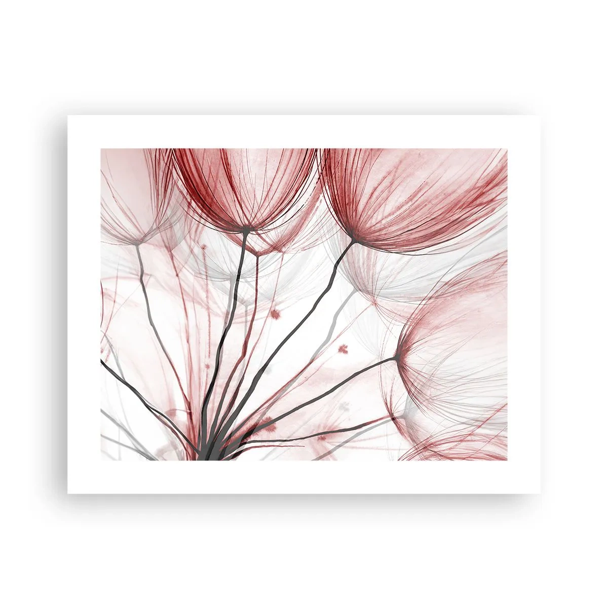 Poszter - Felszállás előtt - 50x40 cm