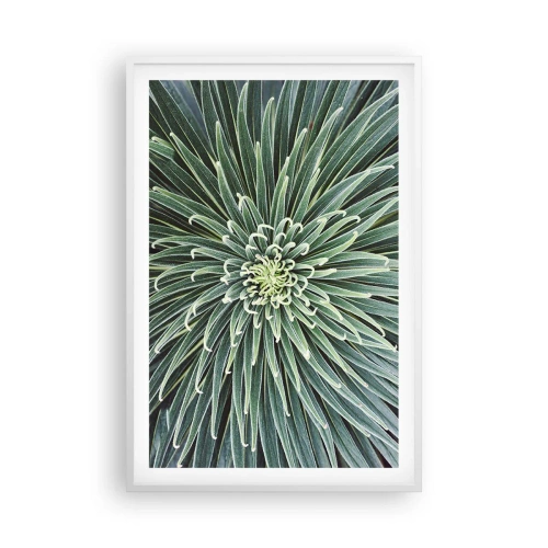 Poszter fekete keretben - Csillag születik - 61x91 cm