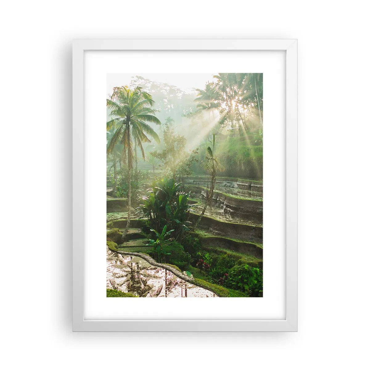 Poszter fekete keretben - Felnőni a napon - 30x40 cm