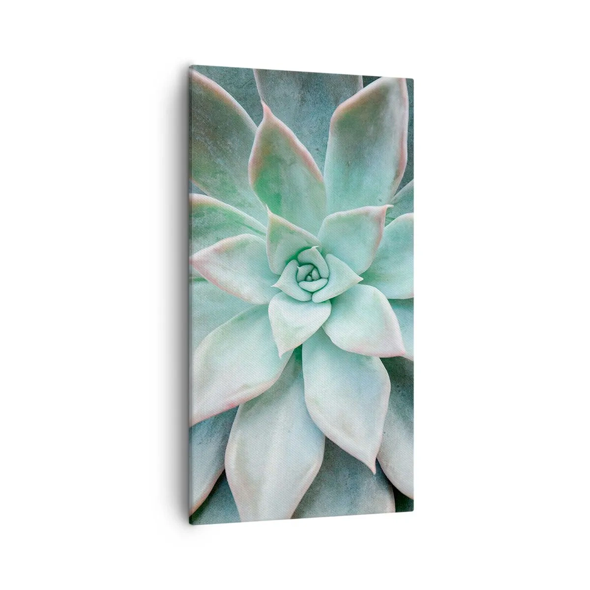 Vászonkép - A sivatag szíve - 55x100 cm