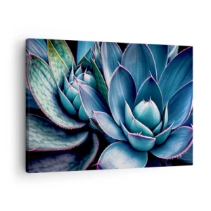 Vászonkép - Agave kék és zöld árnyalatokban, rózsaszín díszítéssel - 70x50cm - Életerő - Modern fali dekoráció nappalihoz és hálószobához ARTTOR