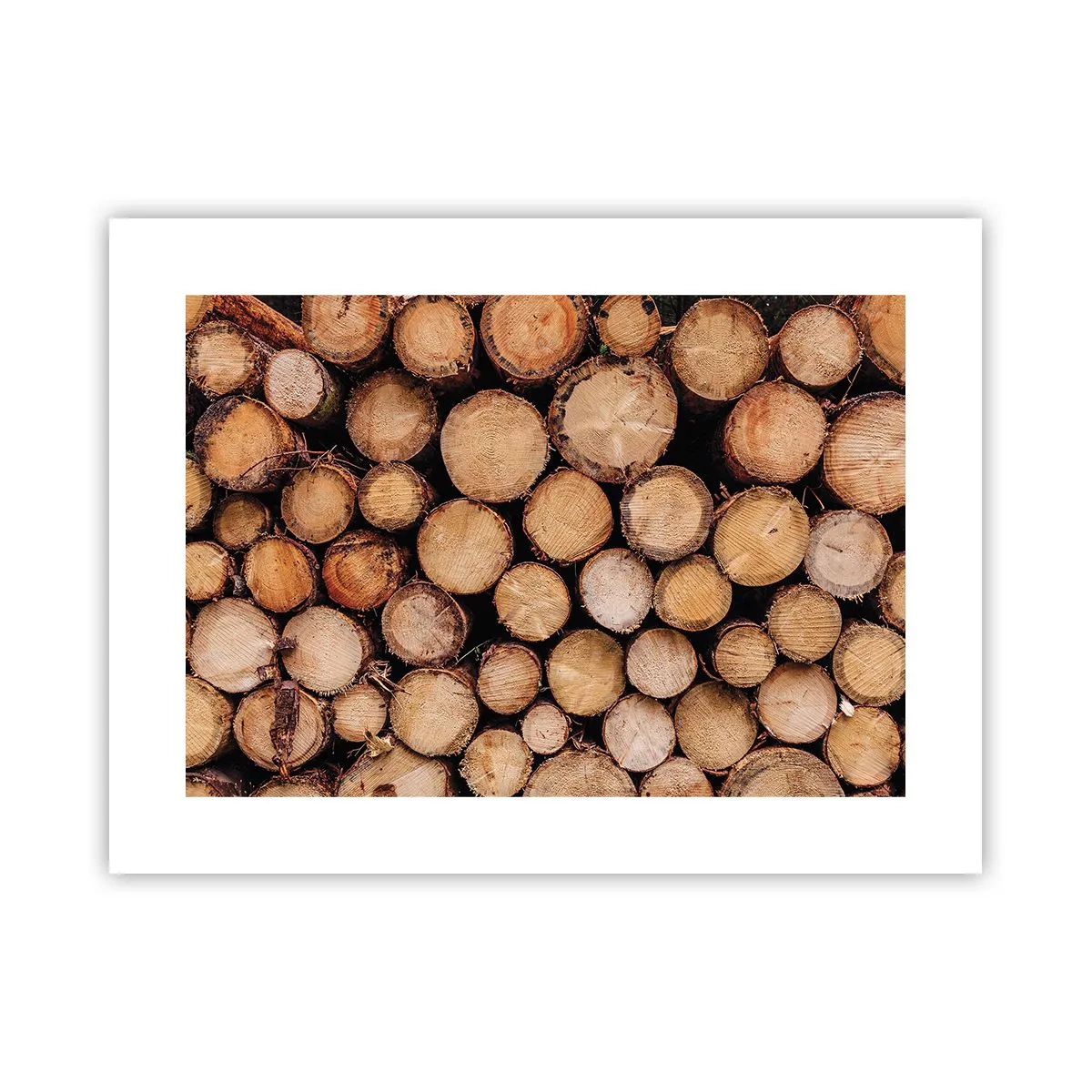 Poszter - Egy új kezdet - 40x30 cm