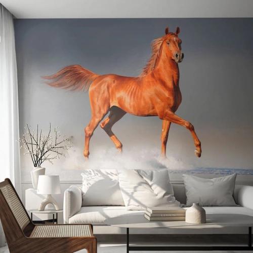 Fotótapéta Premium Canvas - Táncoló szépség - Állatok, Ló, Természet - 350x256 cm