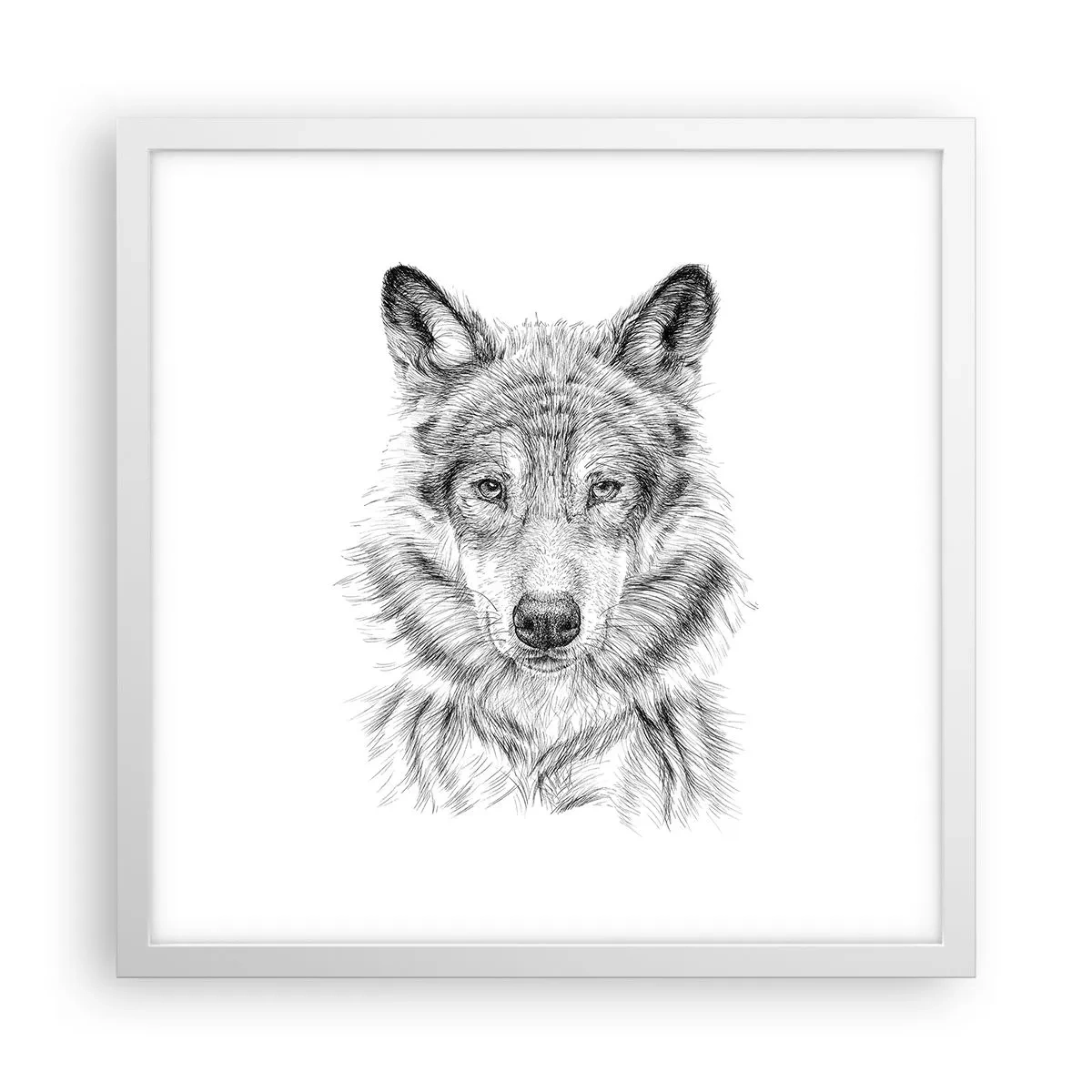 Poszter fekete keretben - Született vezető - 40x40 cm