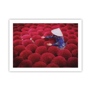 Poszter - A rizsföldön - 70x50 cm