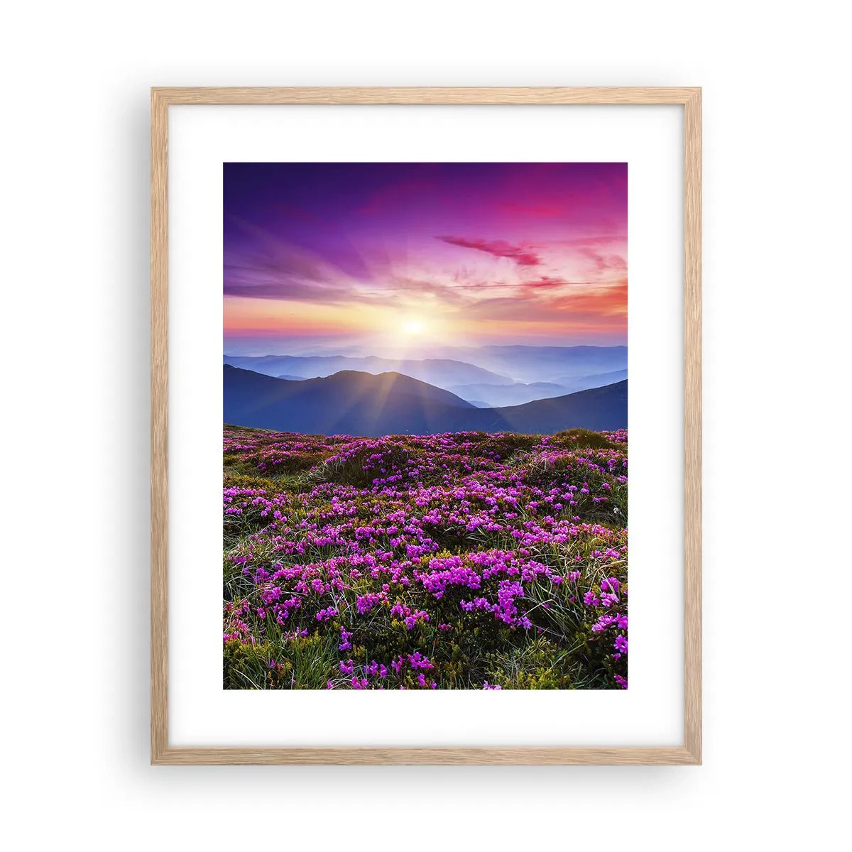 Poszter világos tölgy keretben - A gyógynövények friss fürtjei illatoztak a mezőkről - 40x50 cm