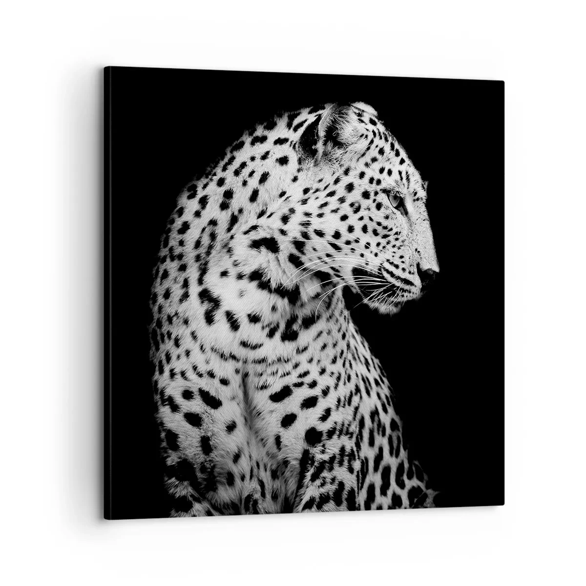 Vászonkép - Tökéletes jobb profil! - 60x60 cm