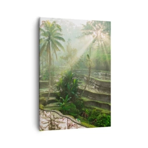 Vászonkép - Felnőni a napon - 50x70 cm