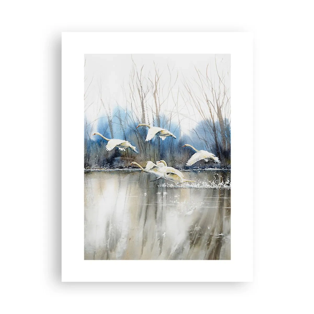 Poszter - Mint a vadhattyúkról szóló mesében - 30x40 cm