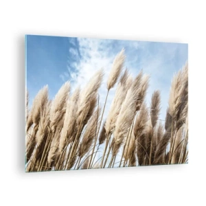 Üveg kép - Dekoratív pampa füvek a kék ég ellen - 70x50cm - Napos és szeles simogatás - Modern fali dekoráció nappalihoz és hálószobához ARTTOR