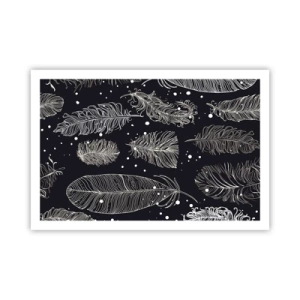 Poszter - Tollas csipke - 91x61 cm