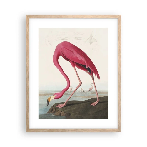 Poszter világos tölgy keretben - Csodálatos teremtmény - 40x50 cm