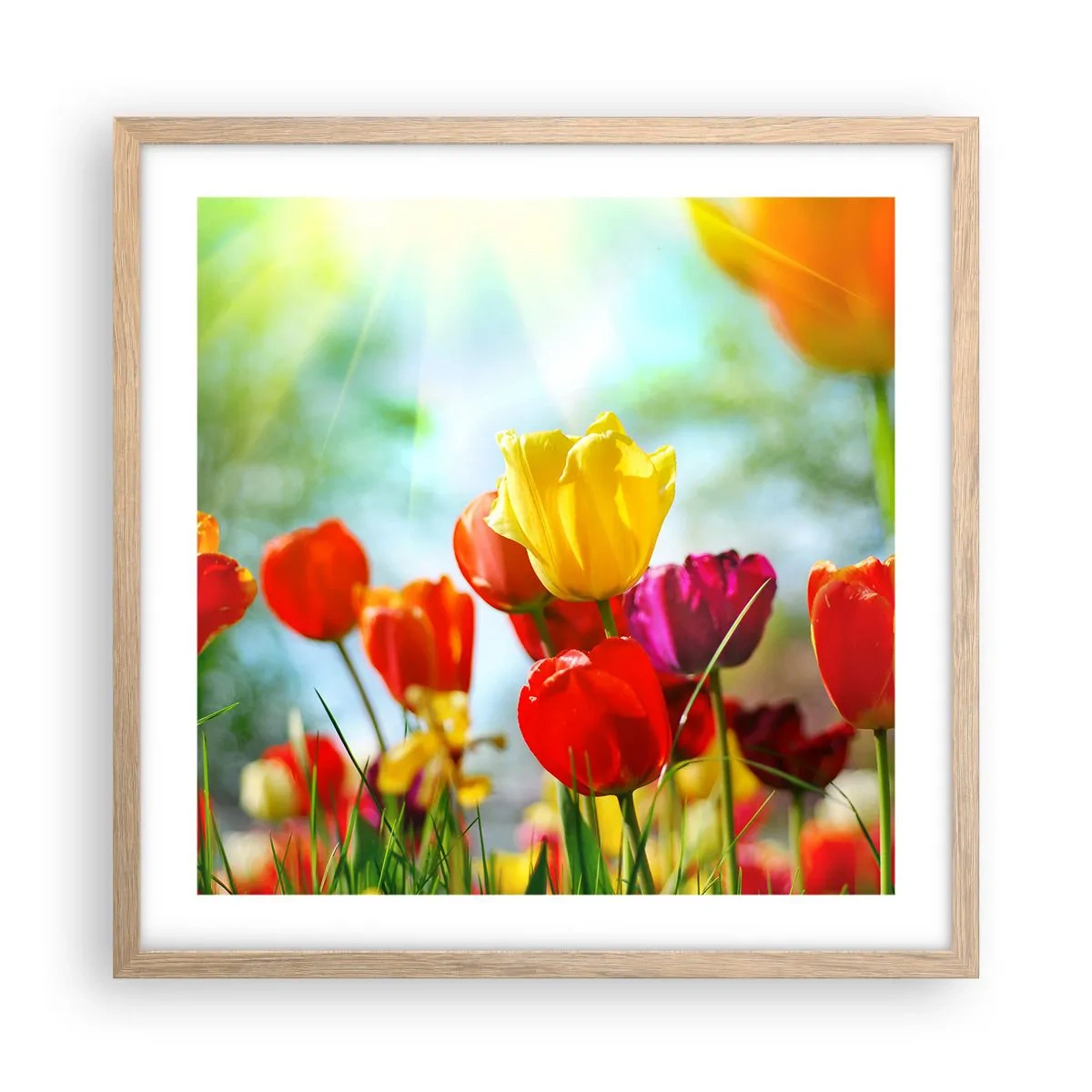 Poszter világos tölgy keretben - A nap minden színe - 50x50 cm
