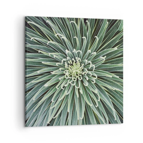 Vászonkép - Csillag születik - 60x60 cm