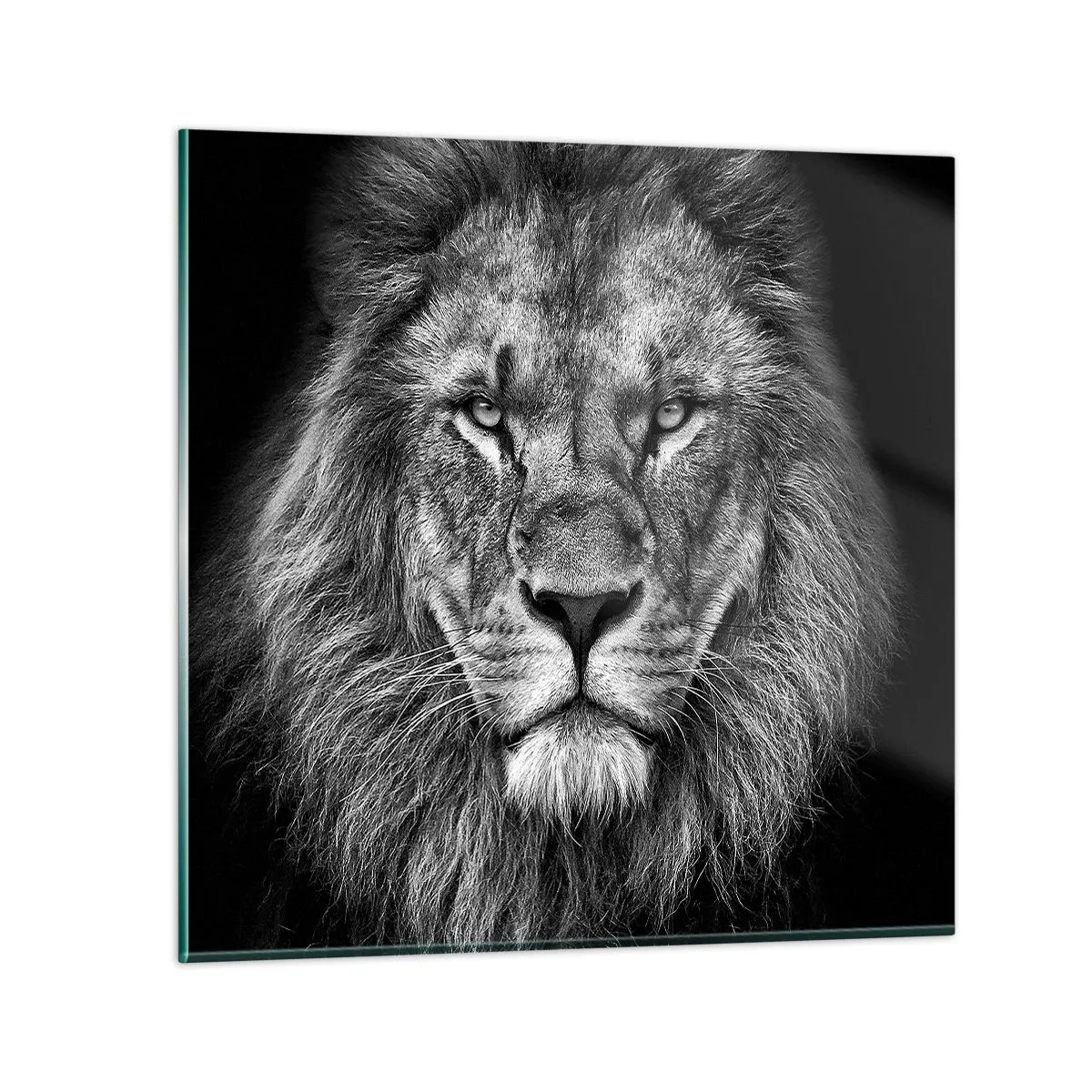 Üveg kép - Őfelségi palástban - 60x60 cm