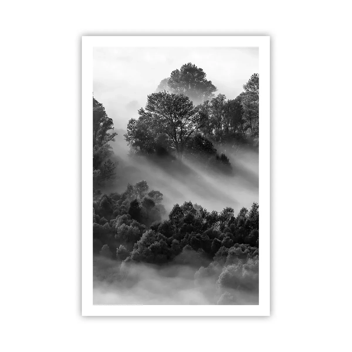 Poszter -  Az álomból felkelő - 61x91 cm