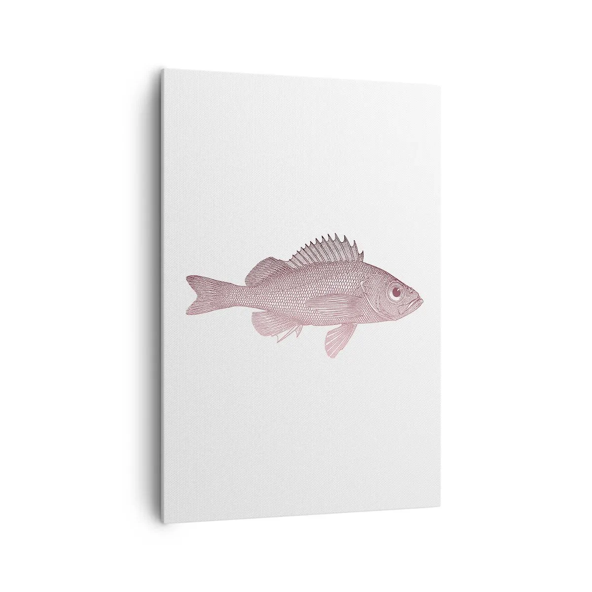 Vászonkép - Nagyszemű hal - 70x100 cm