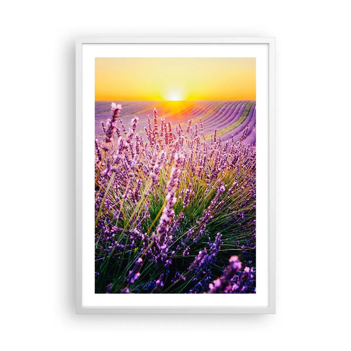 Poszter fekete keretben - Illatos szálak - 50x70 cm