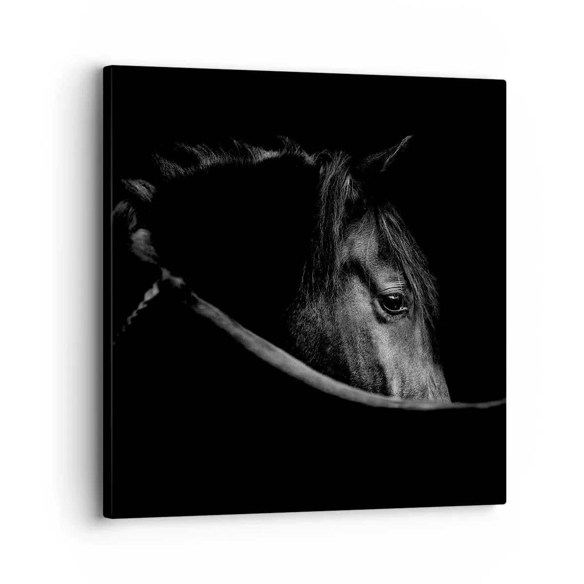 Vászonkép - Fekete herceg - 30x30 cm