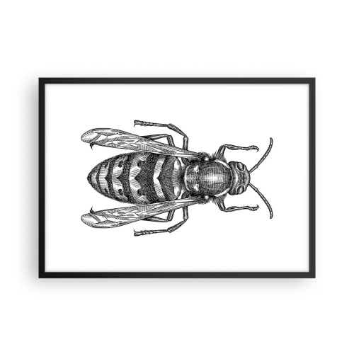 Poszter fehér keretben - Egy rovar bolygóról - 70x50 cm