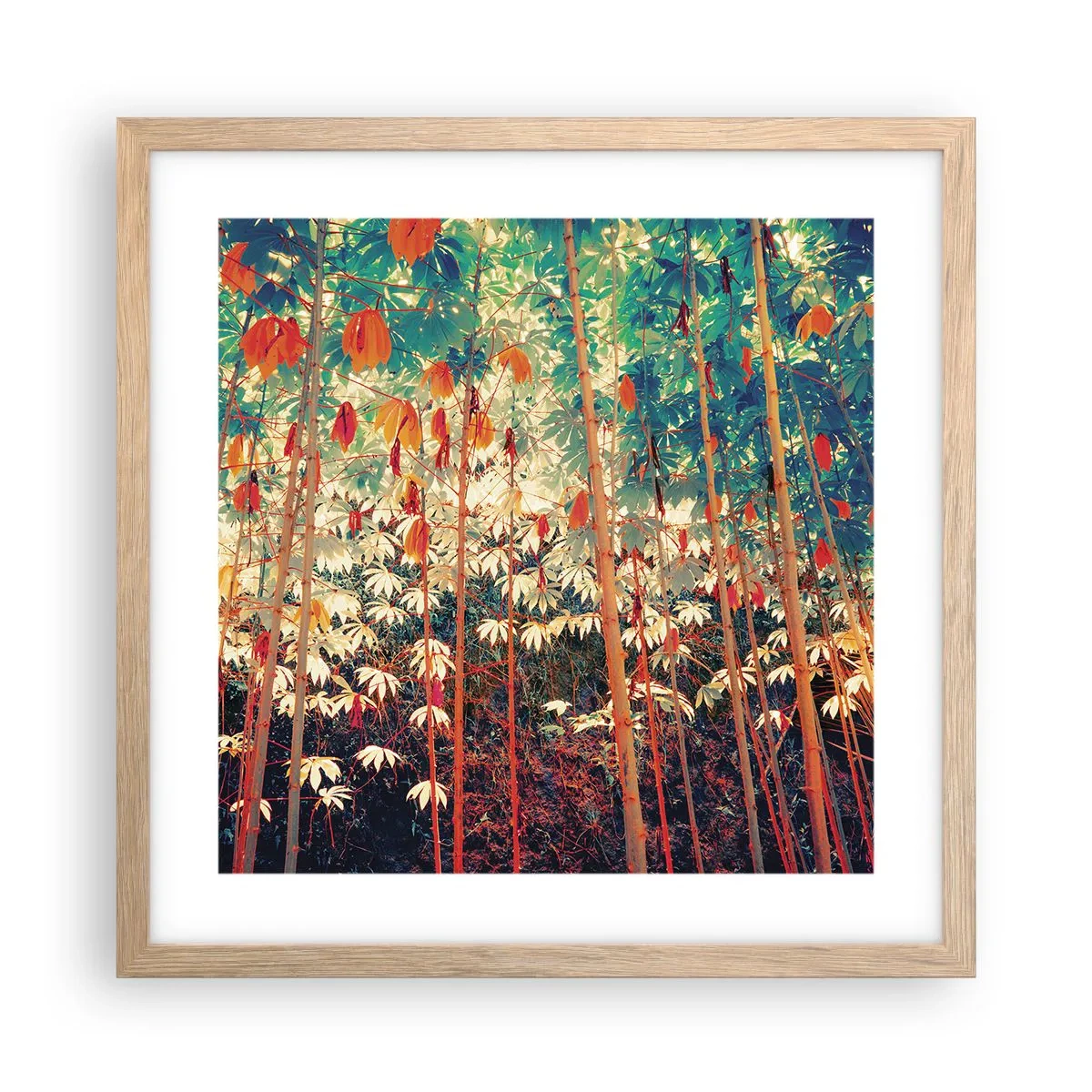 Poszter világos tölgy keretben - A levelek titkos élete - 40x40 cm