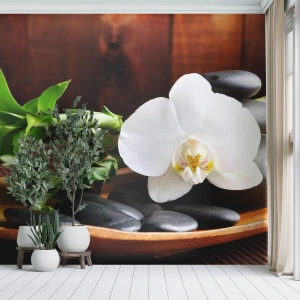 Fotótapéta Standard Eco - Engedd át magad a természet érintésének - Virágok, Orchidea, Orchidea - 200x140 cm