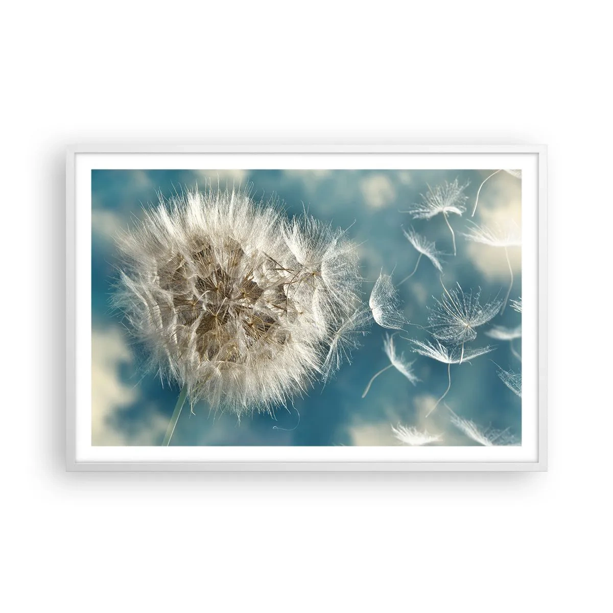 Poszter fekete keretben - Angyal lehelete - 91x61 cm