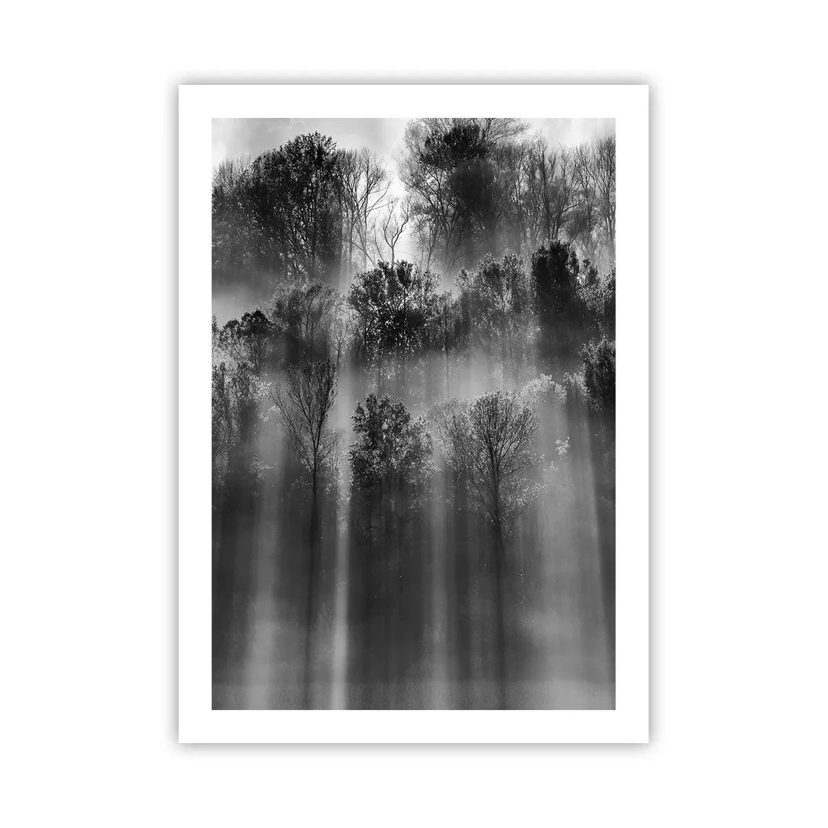 Poszter - Fénypatakokban - 50x70 cm