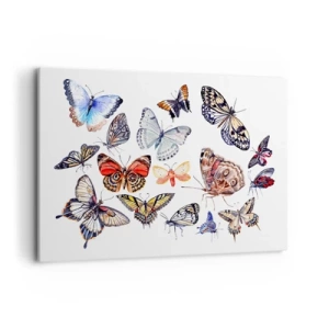 Vászonkép - Csipkés, színes raj - 100x70 cm