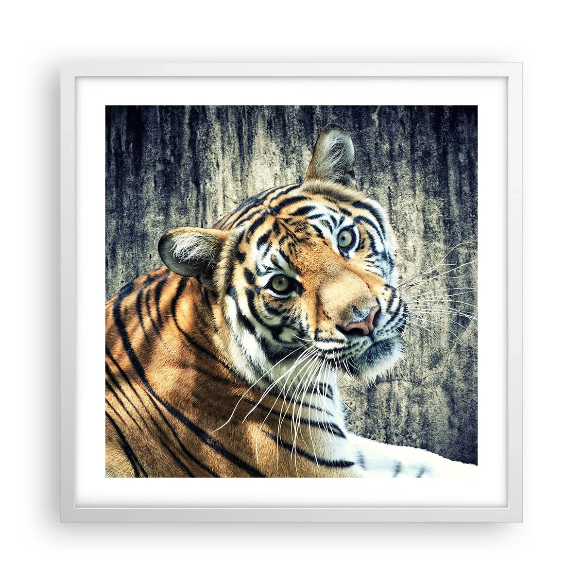 Poszter fekete keretben - Portré a fénysugárban - 50x50 cm