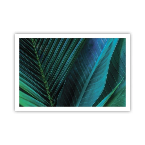 Poszter - A zöld anatómiája - 91x61 cm