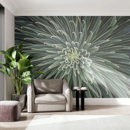 Fotótapéta Premium Sand - Csillag születik - Agave virág, Agávé, Virágok - 100x70 cm