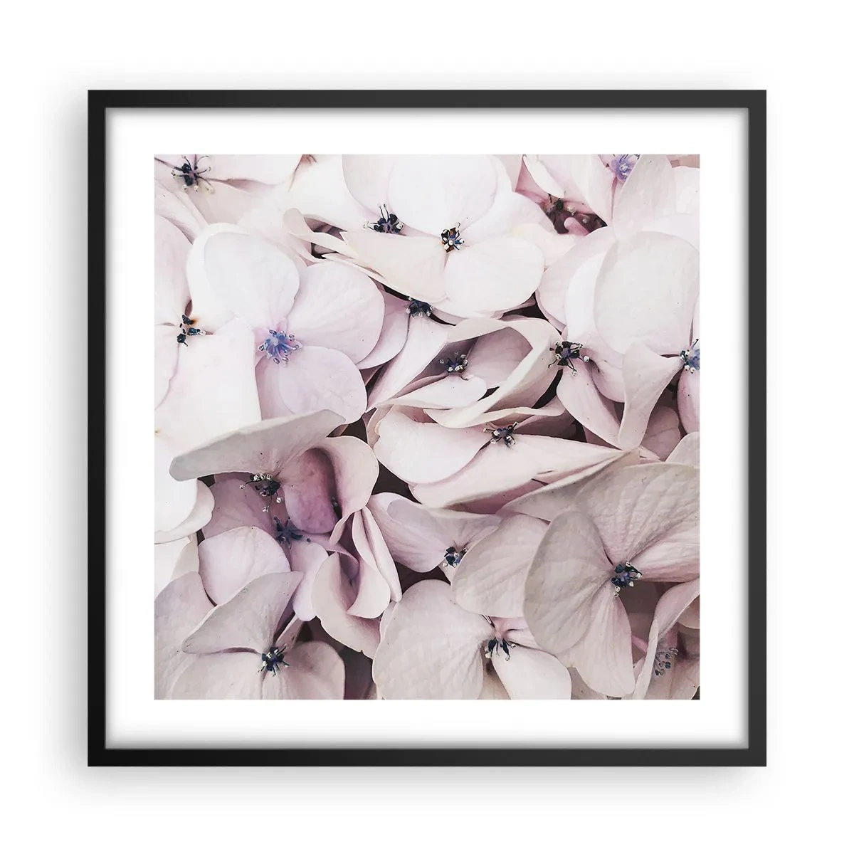 Poszter fehér keretben - A virágok áradatában - 50x50 cm
