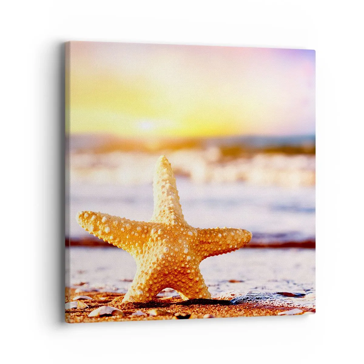 Vászonkép - Tengeri ajándék - 40x40 cm