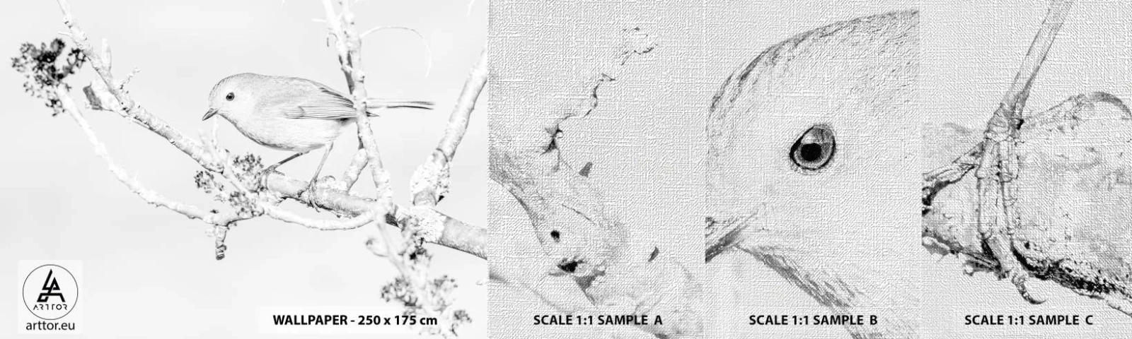 Fotótapéta Minta Premium Canvas - Téli reggel - Fényes, Madár, Természet - 100x30 cm