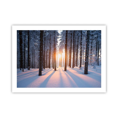 Poszter - Egyértelműen fekete-fehéren - 70x50 cm