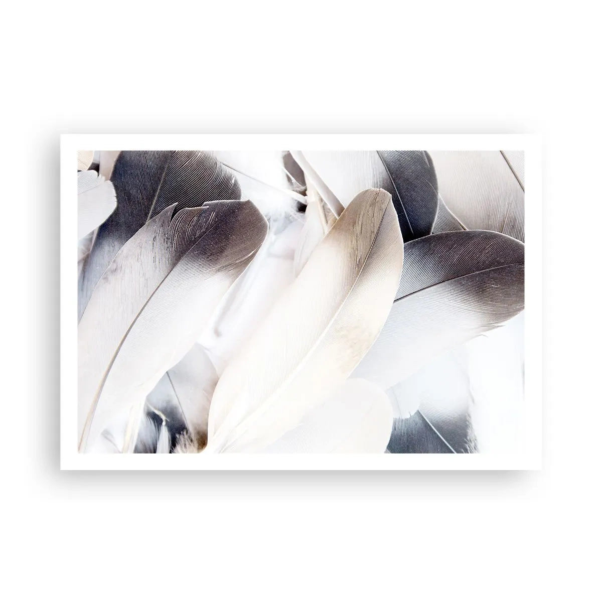 Poszter - Szinte angyali - 100x70 cm