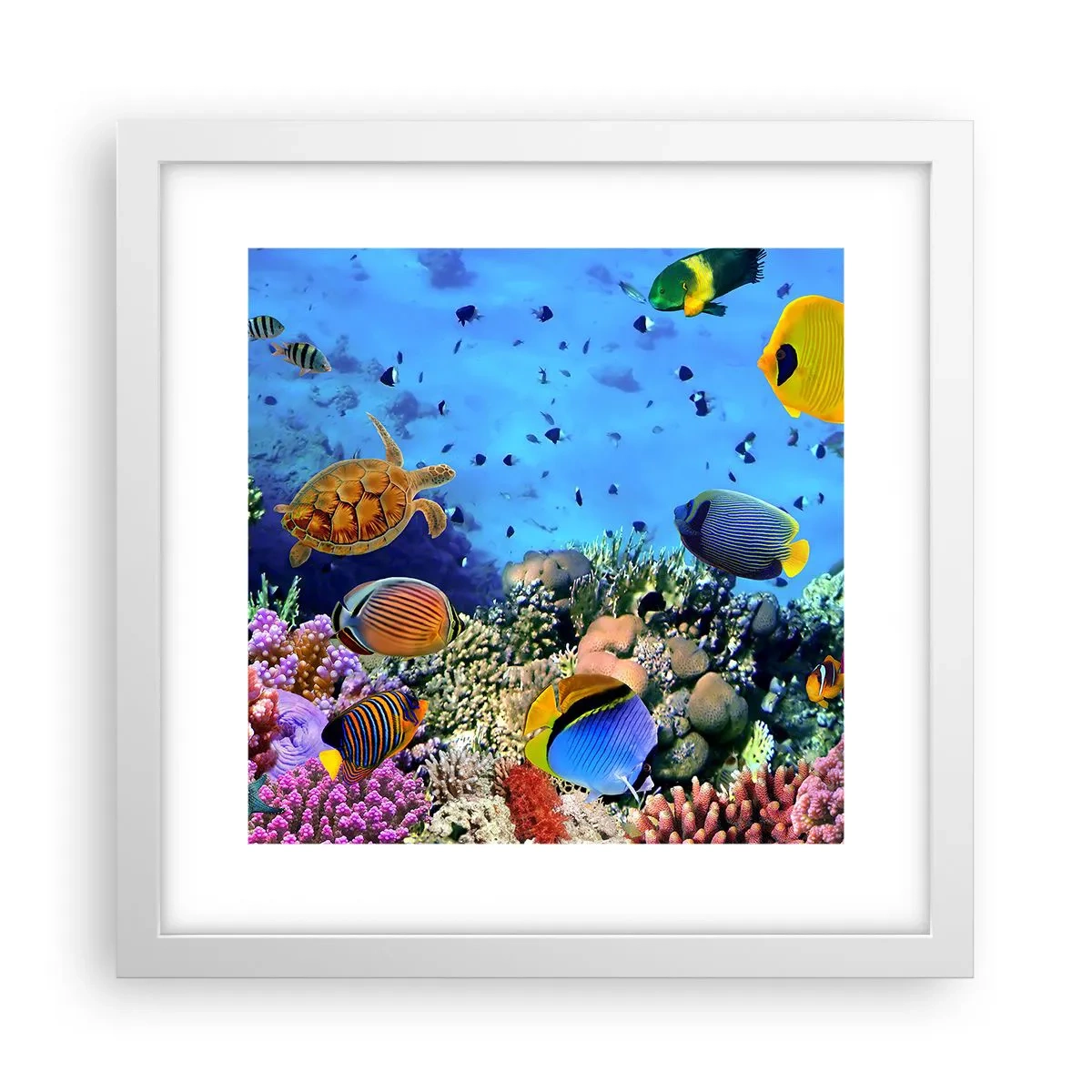 Poszter fekete keretben - És mit tudunk az életről... - 30x30 cm