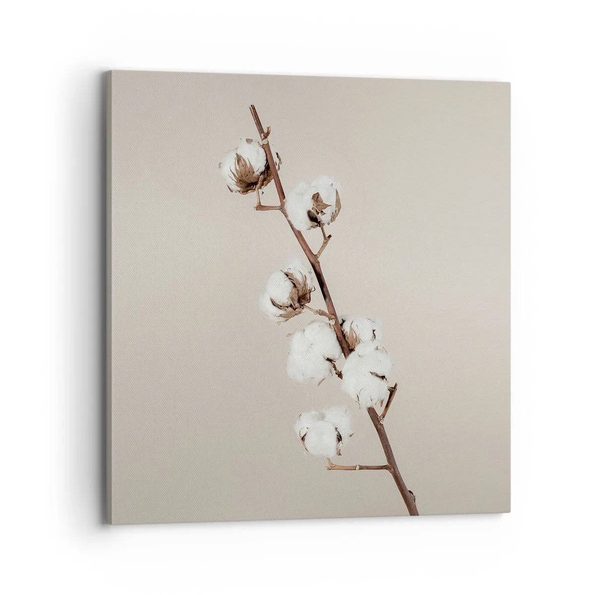 Vászonkép - A puhaság forrásánál - 70x70 cm