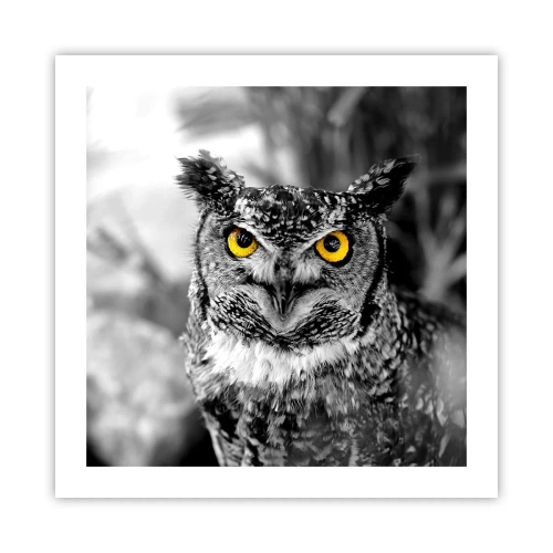 Poszter - Semmi sem fog elbújni - 50x50 cm