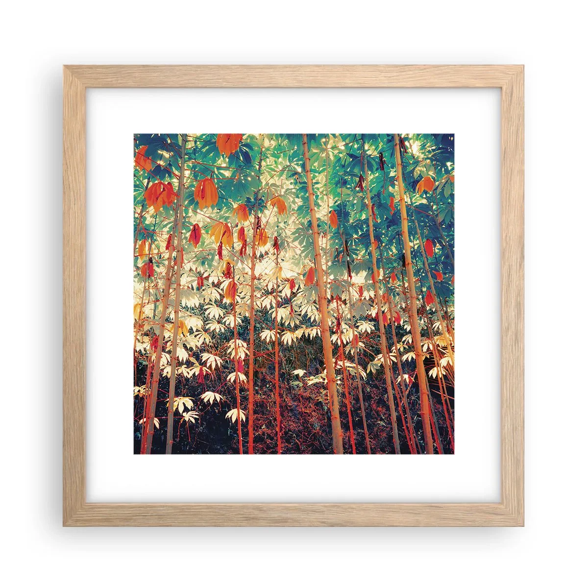 Poszter világos tölgy keretben - A levelek titkos élete - 30x30 cm