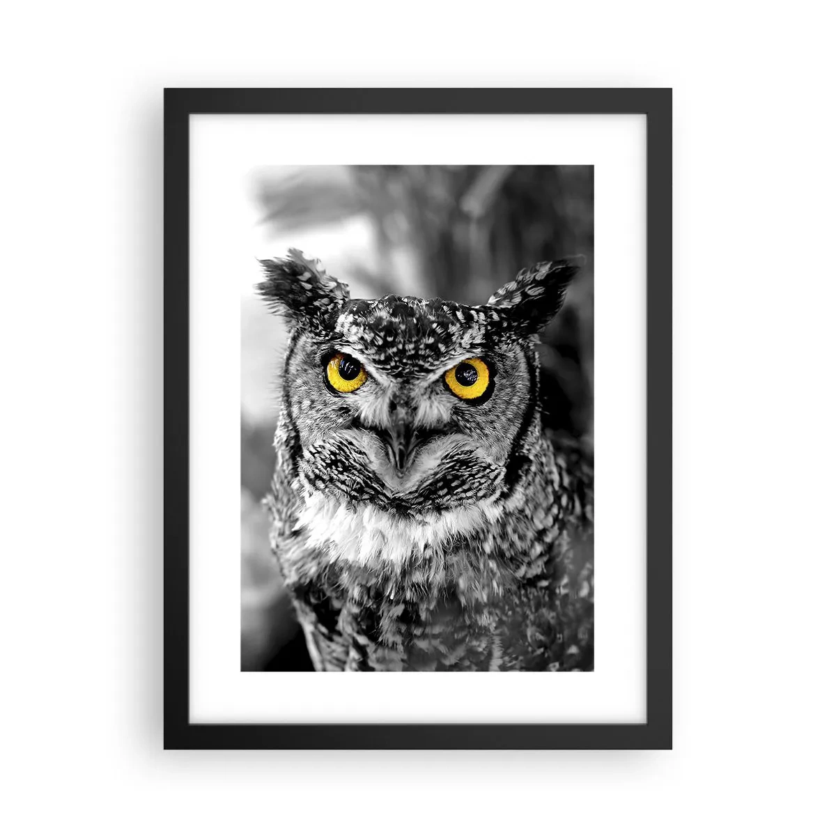 Poszter fehér keretben - Semmi sem fog elbújni - 30x40 cm