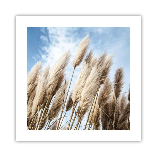 Poszter - Napos és szeles simogatás - 40x40 cm