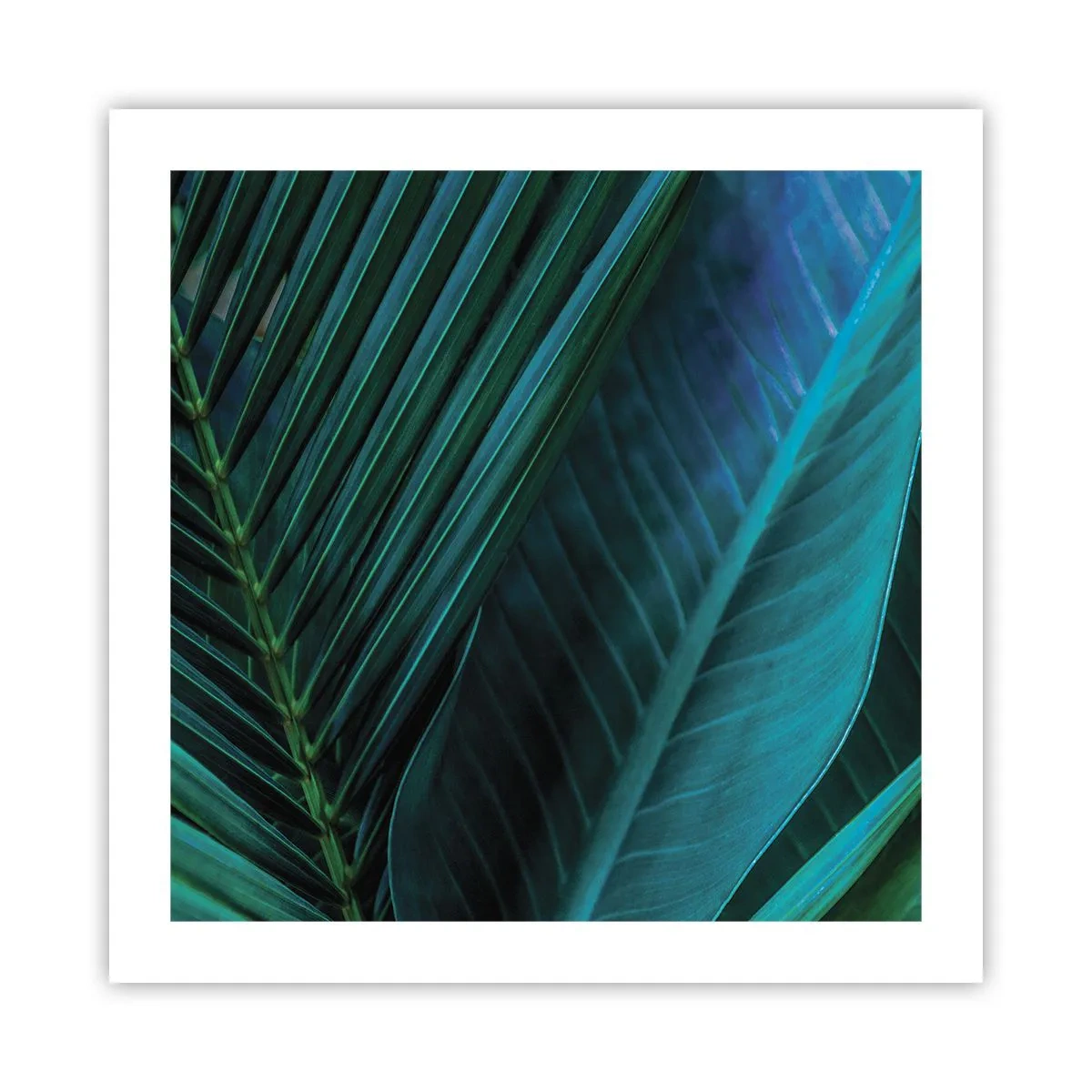 Poszter - A zöld anatómiája - 50x50 cm