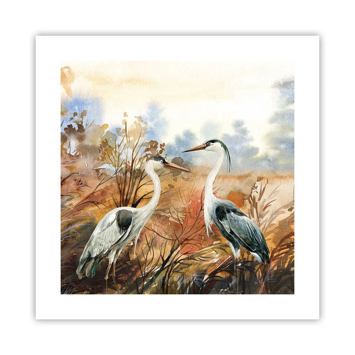 Poszter - Hová ősszel? - 40x40 cm