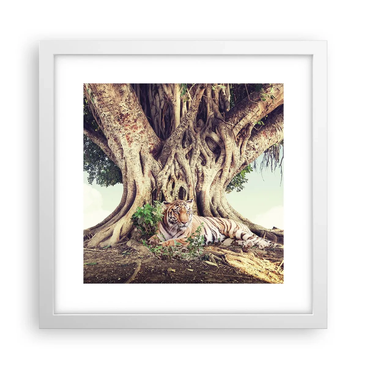 Poszter fekete keretben - Kilátás a Genezis könyvéből - 30x30 cm